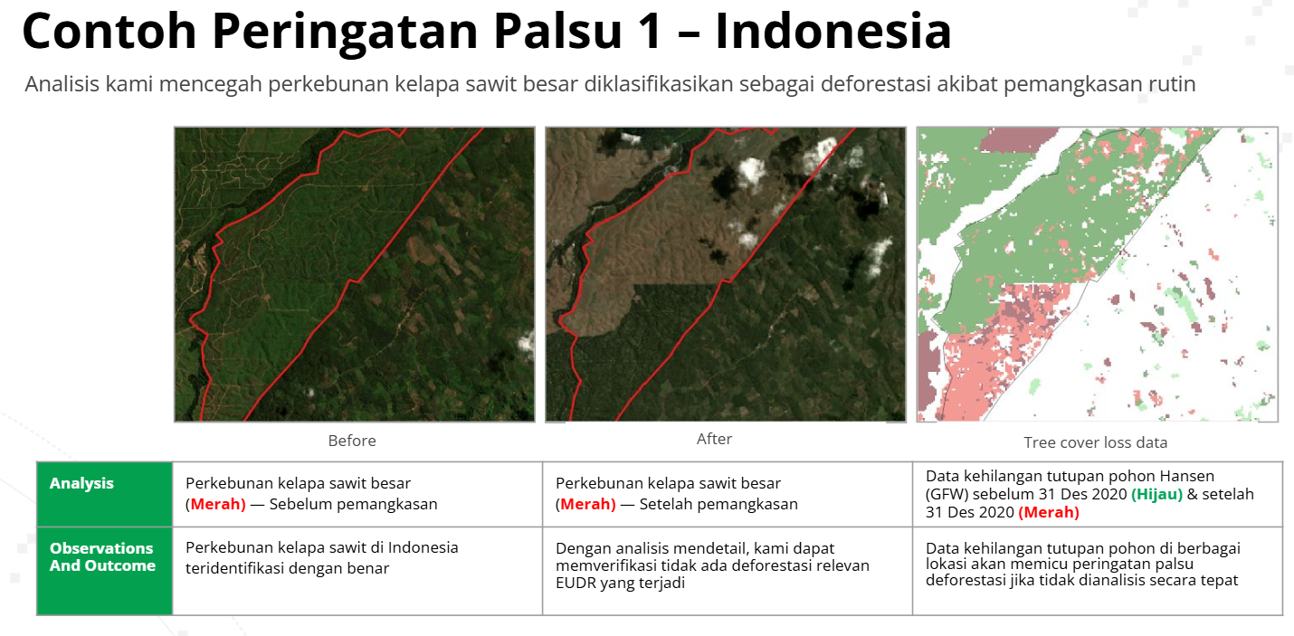 Solusi Geospatial untuk Meminimalkan False Alerts Deforestasi di Perkebunan Kelapa Sawit – EUDR Compliance