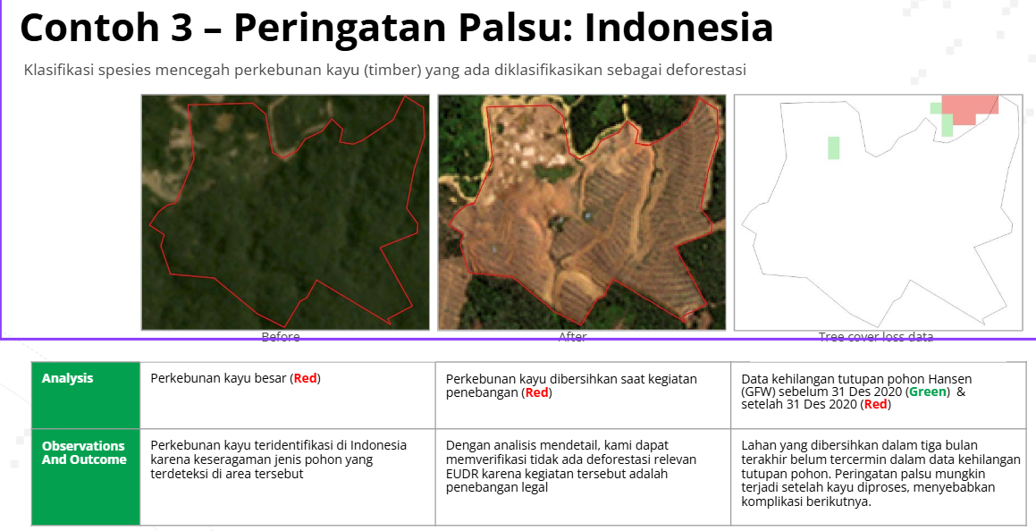 Mengeliminasi False Alerts Deforestasi di Perkebunan Kayu Mahoni – EUDR Compliance Indonesia